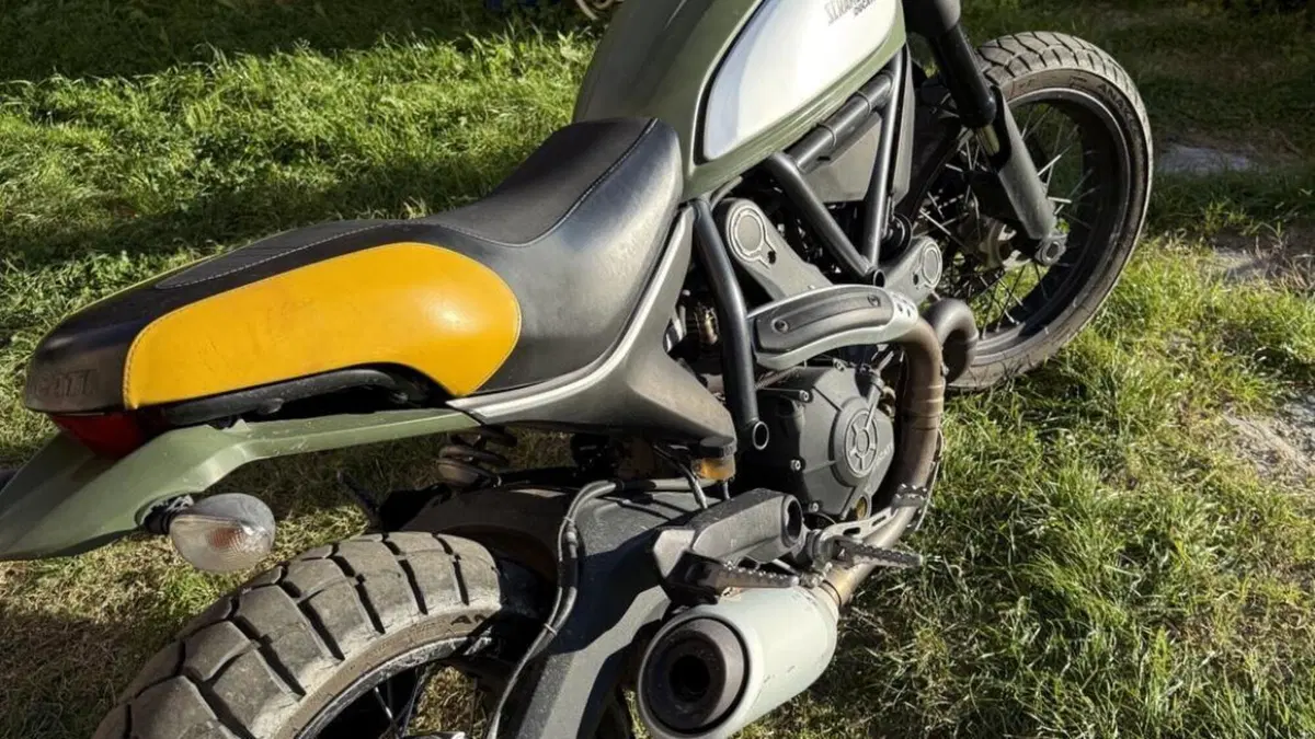 Ducati Scrambler 800 Urban Enduro (2015 - 16)  (2)