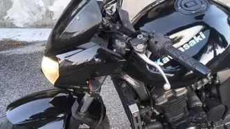 Kawasaki Z 750 (2003 - 06) usata