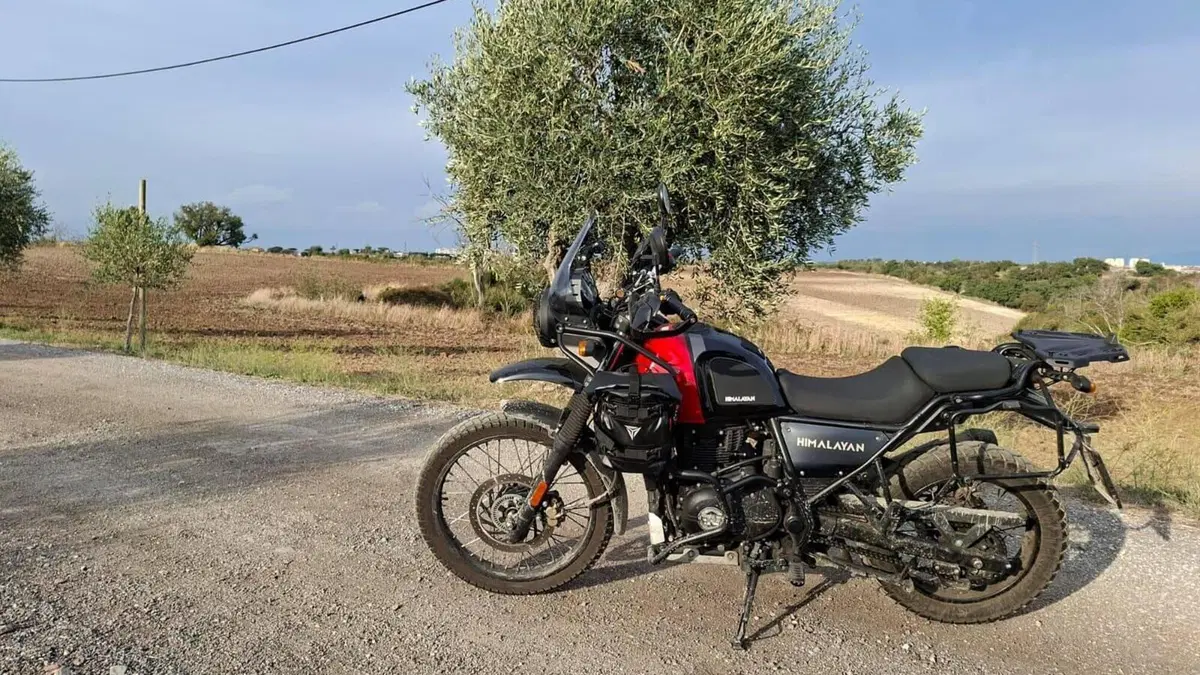 Royal Enfield Himalayan 411 (2021 - 24)  (13)