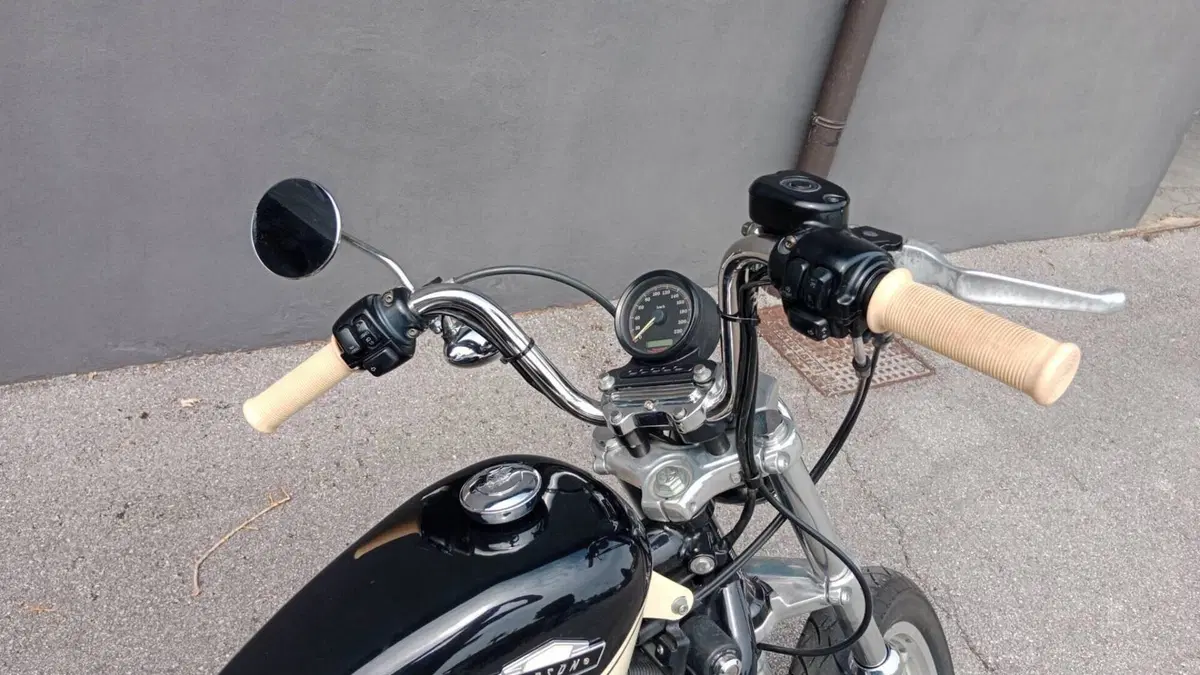 Harley-Davidson 883 Custom (2001 - 05) - XL 53C  (2)