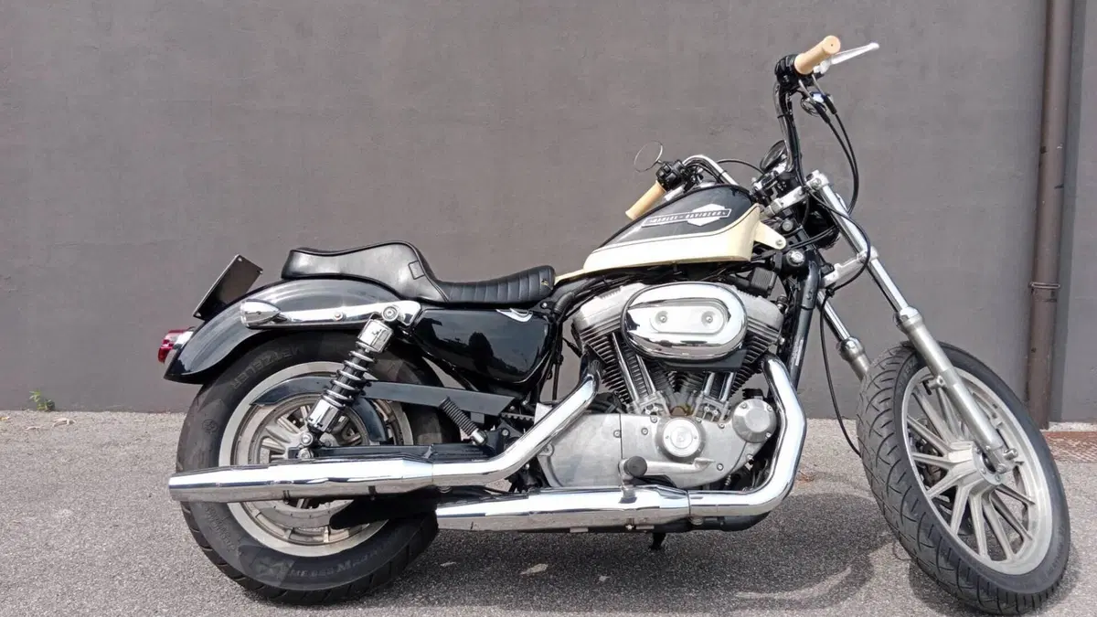 Harley-Davidson 883 Custom (2001 - 05) - XL 53C  (4)