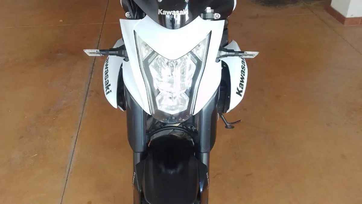 Kawasaki ER-6N ABS (2012 - 16)  (3)