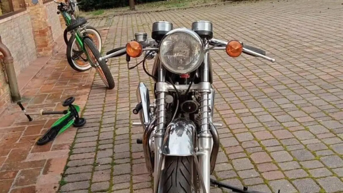 Norton   (6)