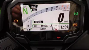 Kawasaki Ninja ZX-4RR (2024 - 27)  (4)