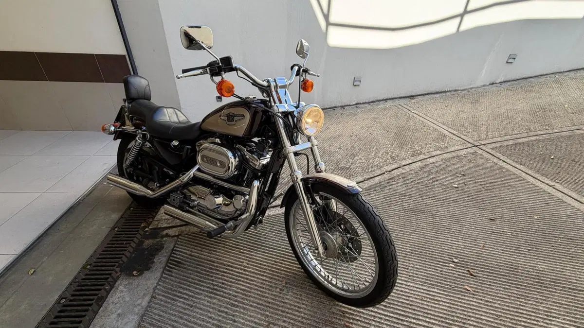 Harley-Davidson 1200 Custom (1995 - 00) - XL 1200C 
