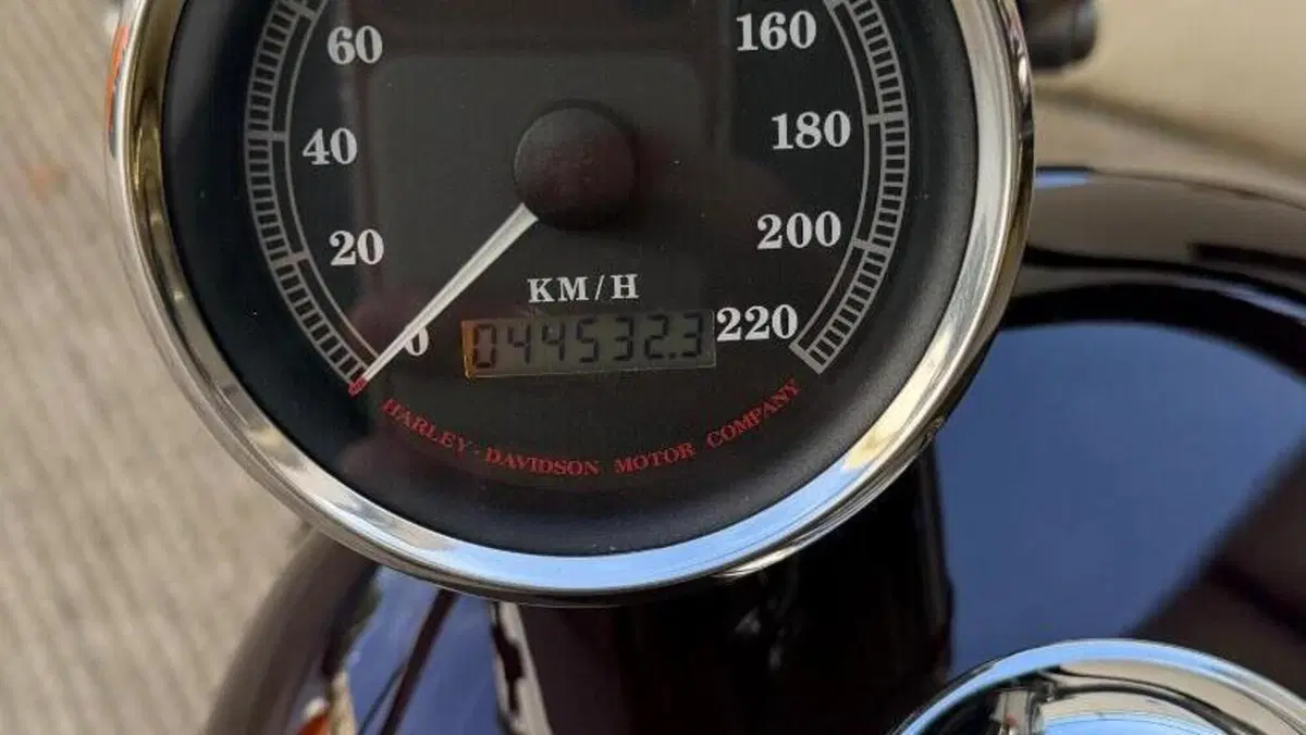 Harley-Davidson 1200 Custom (1995 - 00) - XL 1200C  (8)