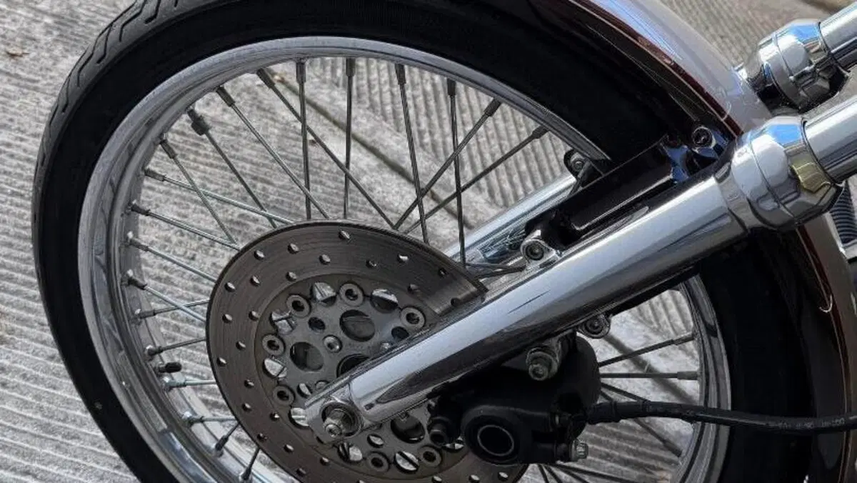 Harley-Davidson 1200 Custom (1995 - 00) - XL 1200C  (14)