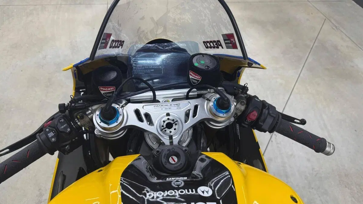 Ducati Panigale V4 Bagnaia 2023 World Champion Replica (2024)  (4)