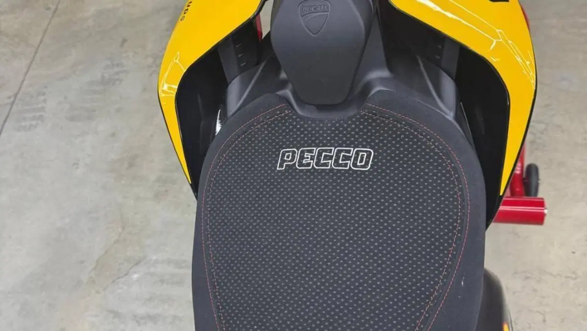 Ducati Panigale V4 Bagnaia 2023 World Champion Replica (2024)  (5)