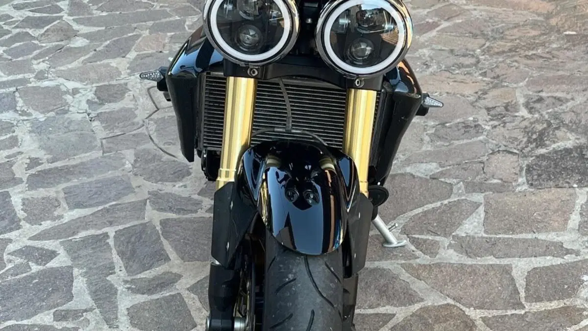 Triumph Speed Triple 1050 (2005 - 11)  (2)
