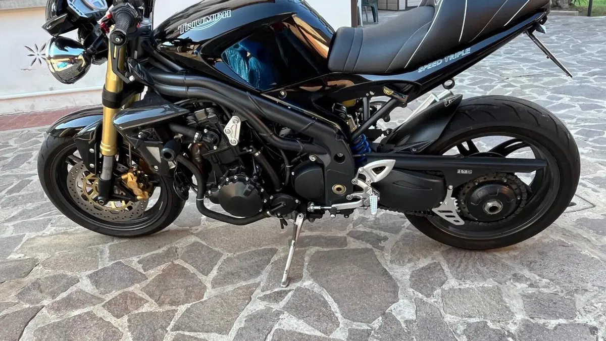 Triumph Speed Triple 1050 (2005 - 11)  (3)