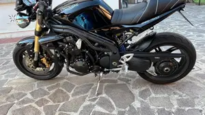 Triumph Speed Triple 1050 (2005 - 11)  (3)