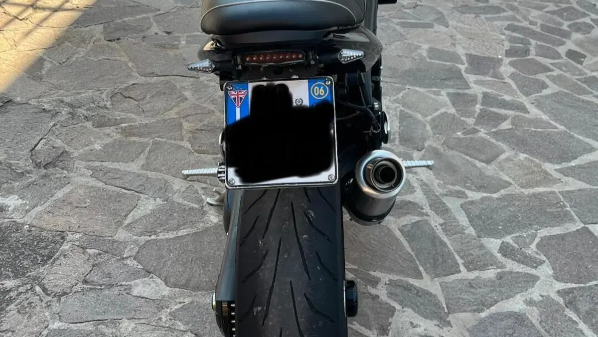 Triumph Speed Triple 1050 (2005 - 11)  (4)