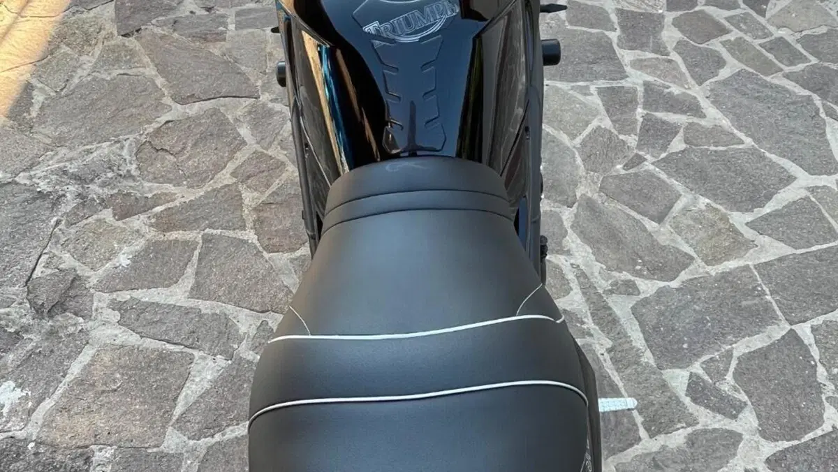 Triumph Speed Triple 1050 (2005 - 11)  (5)