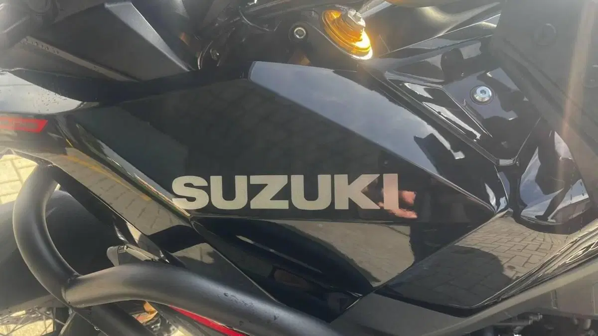 Suzuki V-Strom 800DE (2025 - 26)  (8)