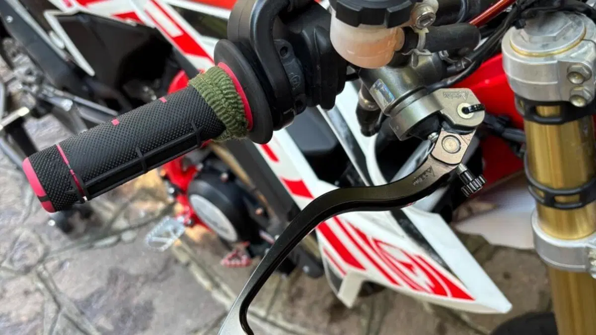 Betamotor RR 125 4T Motard LC (2021 - 23)  (6)