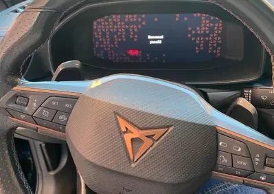 Cupra Formentor Formentor 2.0 tdi 4drive 150cv dsg (10)