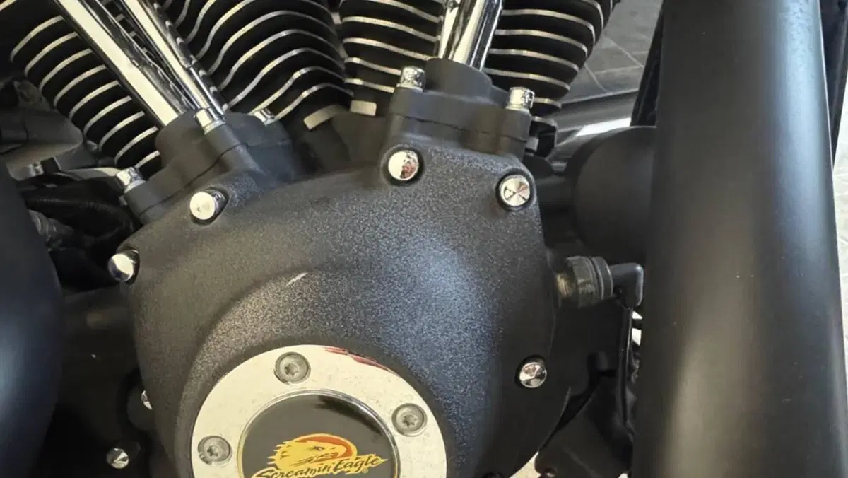 Harley-Davidson 1584 Street Bob (2008 - 15) - FXDB  (10)