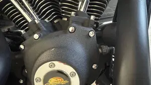Harley-Davidson 1584 Street Bob (2008 - 15) - FXDB  (10)