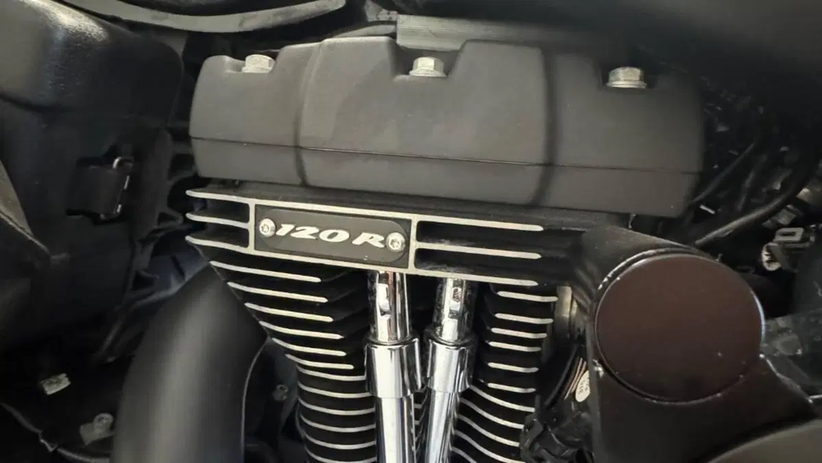 Harley-Davidson 1584 Street Bob (2008 - 15) - FXDB  (11)