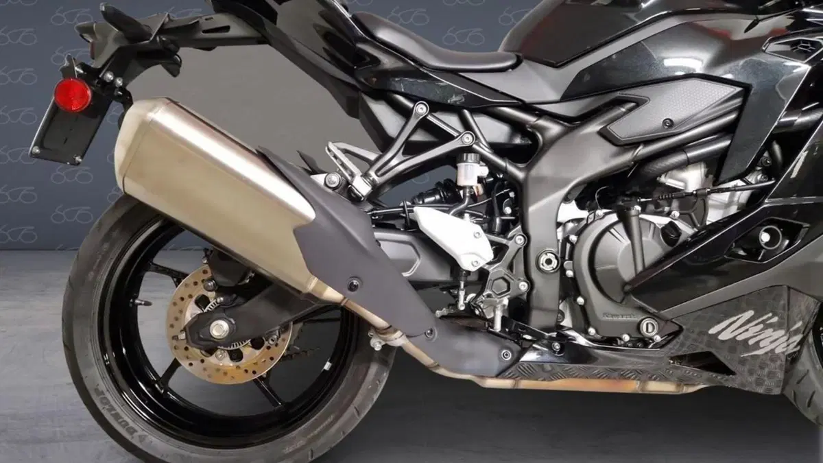 Kawasaki Ninja ZX-4R (2024 - 27)  (5)