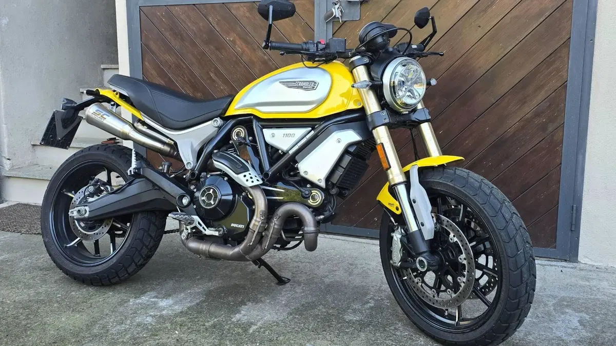Ducati Scrambler 1100 (2018 - 20) 
