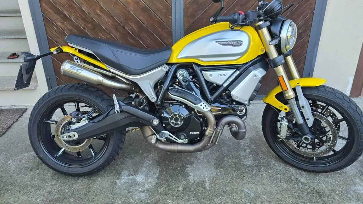 Ducati Scrambler 1100 (2018 - 20)  (5)