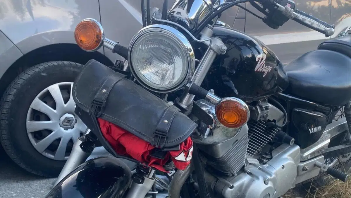 Yamaha XV 250 (1995 - 97) 