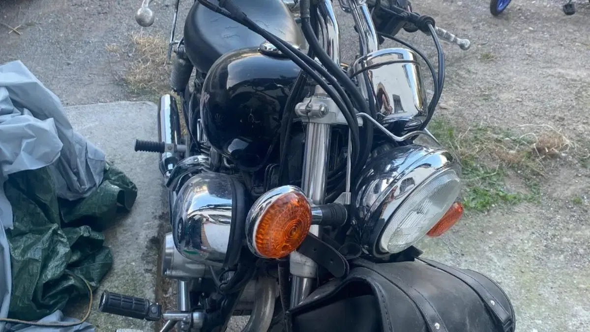 Yamaha XV 250 (1995 - 97)  (2)