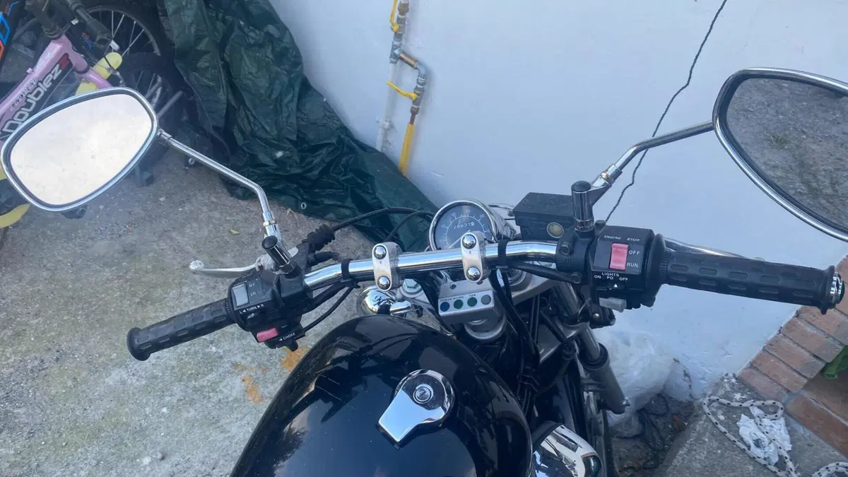 Yamaha XV 250 (1995 - 97)  (4)