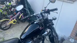Yamaha XV 250 (1995 - 97)  (5)