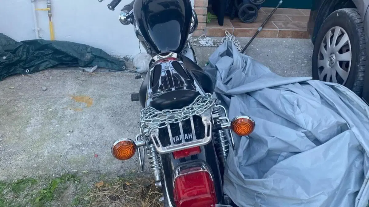 Yamaha XV 250 (1995 - 97)  (6)