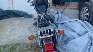 Yamaha XV 250 (1995 - 97)  (6)