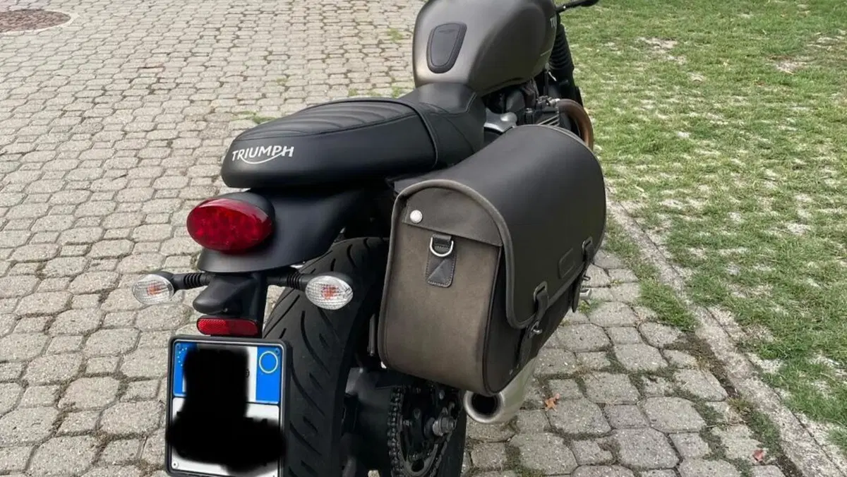 Triumph Speed Twin 900 (2023 - 24)  (19)