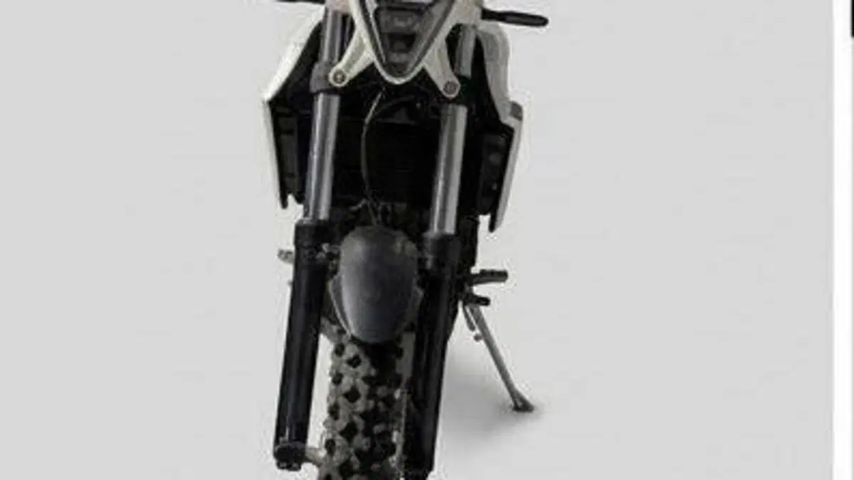 Betamotor Alp 4.0 (2024 - 26)  (4)