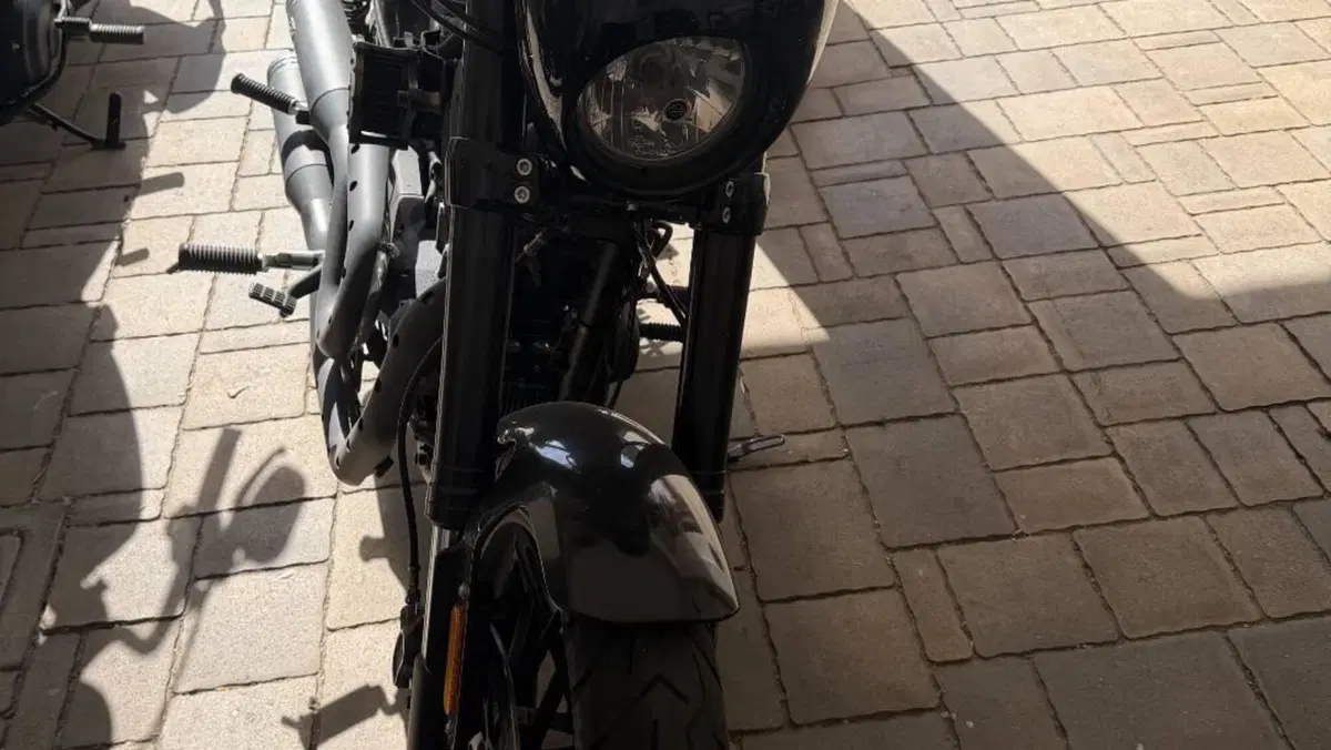 Harley-Davidson 1200 Custom (2017) - XL 1200C  (2)
