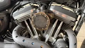 Harley-Davidson 1200 Custom (2017) - XL 1200C  (6)