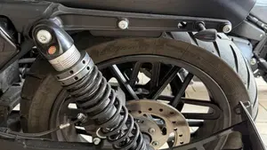 Harley-Davidson 1200 Custom (2017) - XL 1200C  (13)