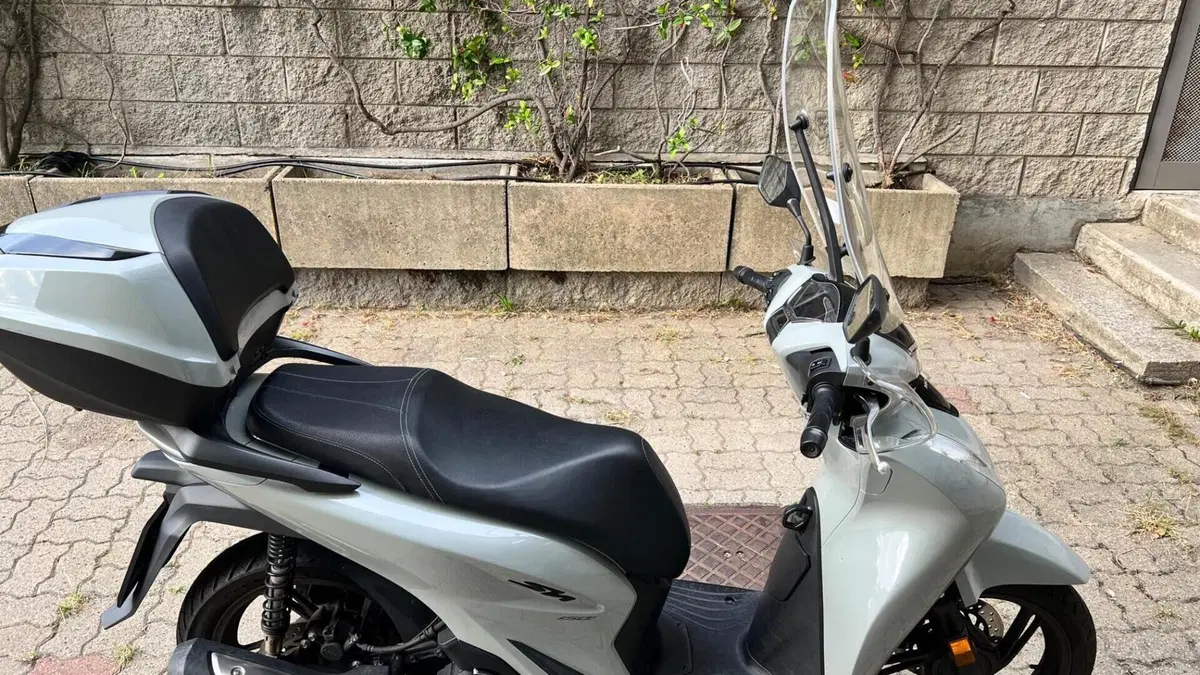 Honda SH 150i (2024 - 25)  (2)