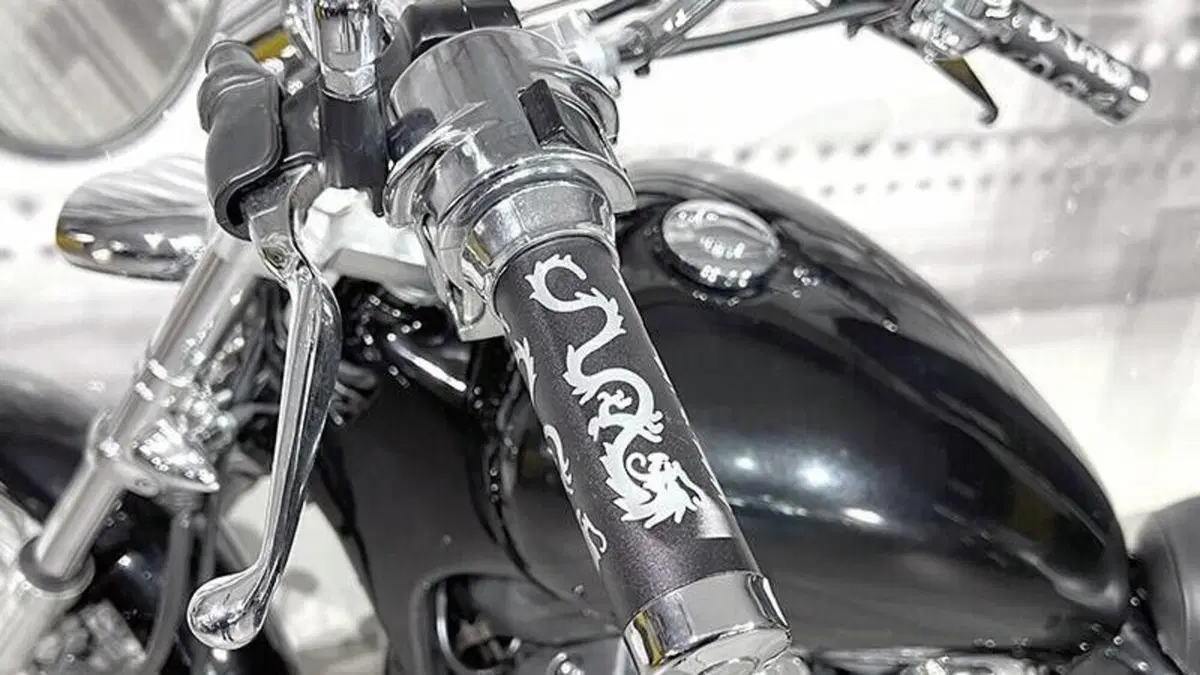 Honda VT 600 C Shadow (1989 - 02)  (5)