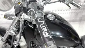 Honda VT 600 C Shadow (1989 - 02)  (5)