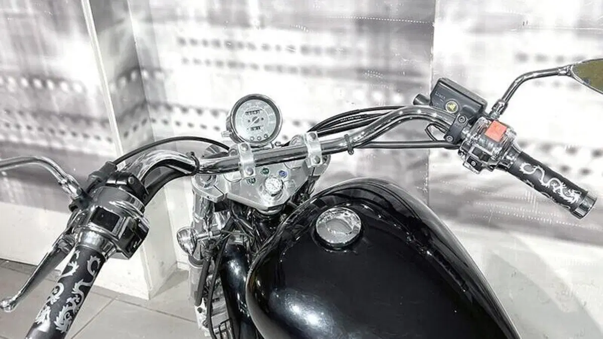 Honda VT 600 C Shadow (1989 - 02)  (6)