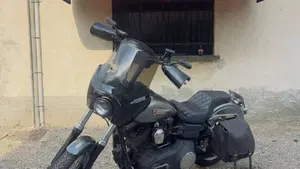 Harley-Davidson 1584 Street Bob (2007) - FXDB  (2)