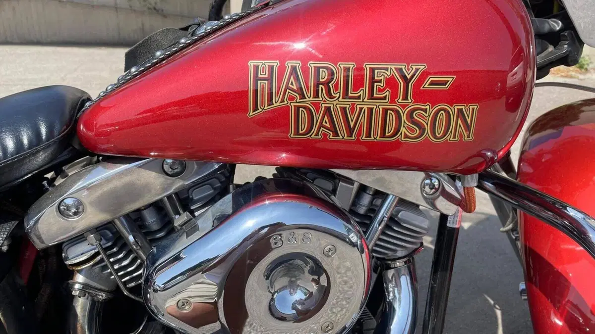Harley-Davidson 1200 Electra Glide (1975 - 80) - FLH  (2)
