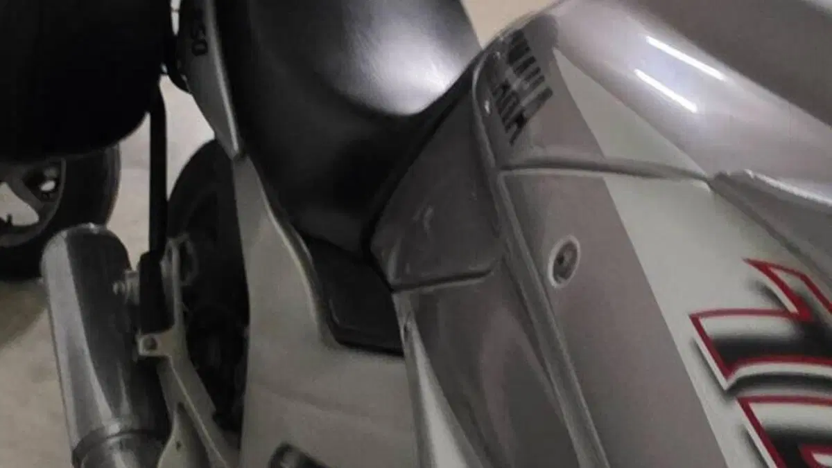 Yamaha TDM 850 (1996 - 01)  (6)