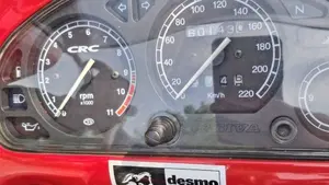 Cagiva Gran Canyon 900  (8)