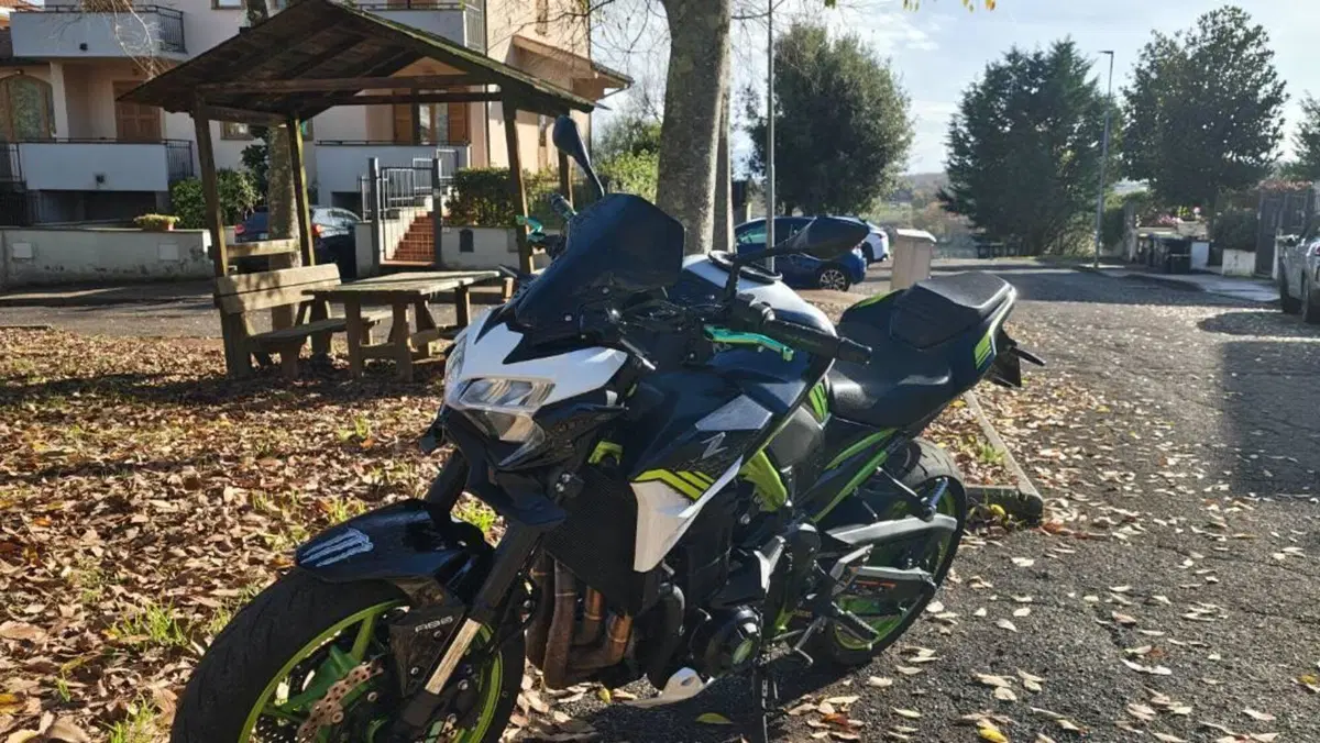 Kawasaki Z 900 (2021 - 24) 