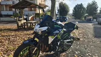 Kawasaki Z 900 (2021 - 24) usata