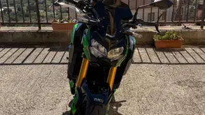 Kawasaki Z 900 SE Performance (2023 - 24) 