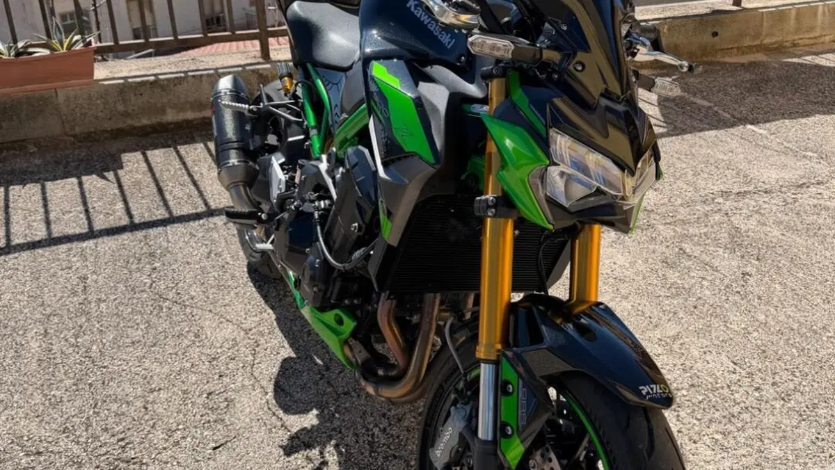 Kawasaki Z 900 SE Performance (2023 - 24)  (2)